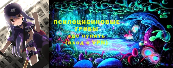 ПСИЛОЦИБИНОВЫЕ ГРИБЫ Магадан