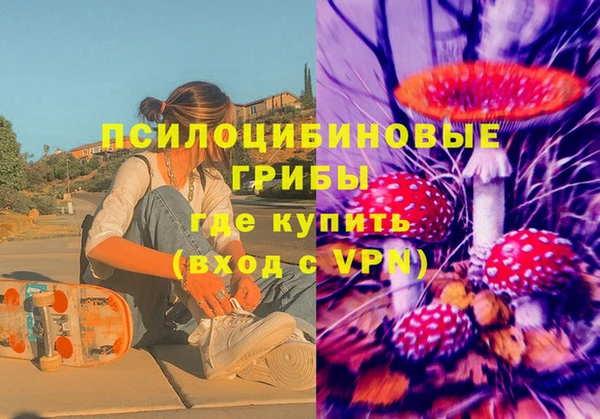 ПСИЛОЦИБИНОВЫЕ ГРИБЫ Магас