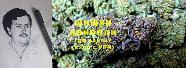 ПСИЛОЦИБИНОВЫЕ ГРИБЫ Магас
