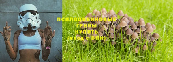 ПСИЛОЦИБИНОВЫЕ ГРИБЫ Магас