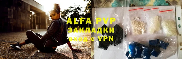 ПСИЛОЦИБИНОВЫЕ ГРИБЫ Магас
