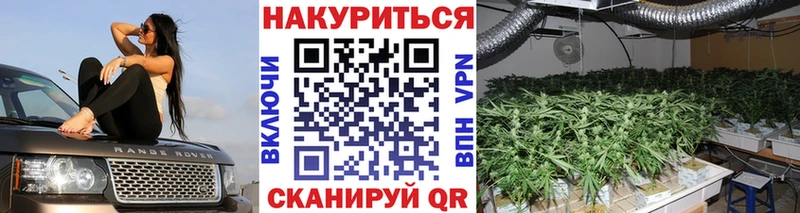 хочу наркоту  Долинск  Шишки марихуана White Widow 